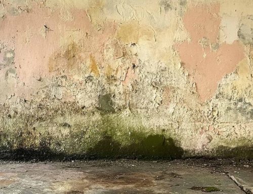 Humitat per capil·laritat: causes i solucions definitives per a la teva llar